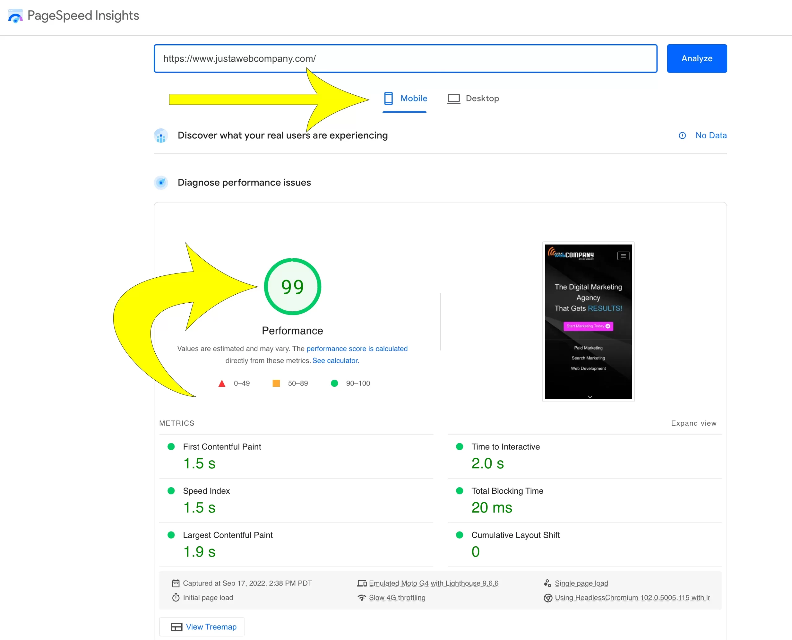 Page Speed Insights Mobile Results Pagw